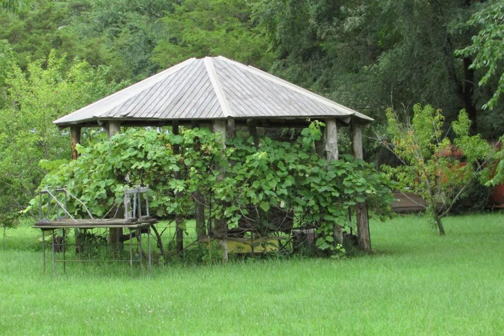 Berrybramble Cottage Talihina Zewnętrze zdjęcie